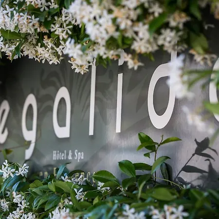 Hotel La Regalido